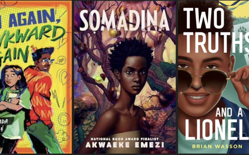 Three book covers. From left to right On Again, Awkward Again, Somadina, and Two Truths. The images are described individually within the blog post.